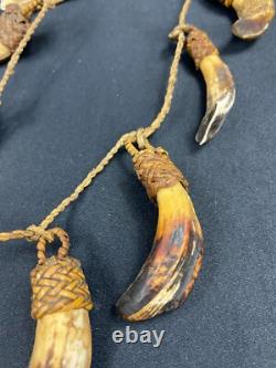 Papua New Guinea Sepik Iatmul Abelam Korowai Tooth Necklace Set