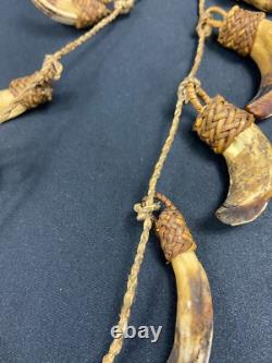 Papua New Guinea Sepik Iatmul Abelam Korowai Tooth Necklace Set