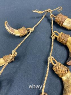 Papua New Guinea Sepik Iatmul Abelam Korowai Tooth Necklace Set