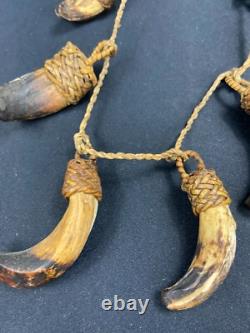 Papua New Guinea Sepik Iatmul Abelam Korowai Tooth Necklace Set