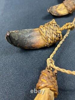 Papua New Guinea Sepik Iatmul Abelam Korowai Tooth Necklace Set