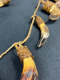 Papua New Guinea Sepik Iatmul Abelam Korowai Tooth Necklace Set