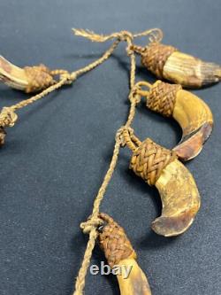 Papua New Guinea Sepik Iatmul Abelam Korowai Tooth Necklace Set