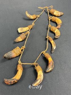 Papua New Guinea Sepik Iatmul Abelam Korowai Tooth Necklace Set