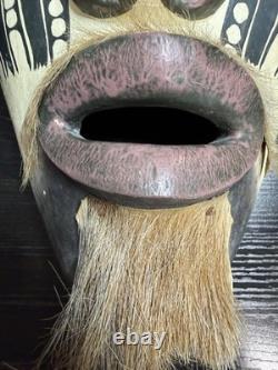 Papua New Guinea Sepik River Tribal Mask Hand Carved Wood with Animal Hair 12