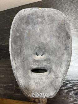 Papua New Guinea Sepik River Tribal Mask Hand Carved Wood with Animal Hair 12