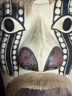 Papua New Guinea Sepik River Tribal Mask Hand Carved Wood with Animal Hair 12
