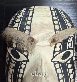 Papua New Guinea Sepik River Tribal Mask Hand Carved Wood with Animal Hair 12