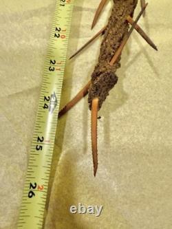 Papua New Guinea Sepik River Woven Thorn Neck Ornament Woburu Village 1989