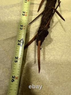 Papua New Guinea Sepik River Woven Thorn Neck Ornament Woburu Village 1989