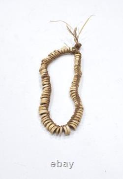 Papua New Guinea Shell Money Necklace Ambunti District