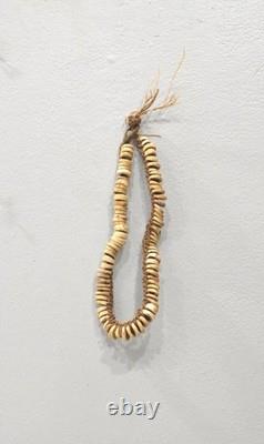 Papua New Guinea Shell Money Necklace Ambunti District