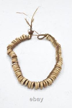 Papua New Guinea Shell Money Necklace Ambunti District