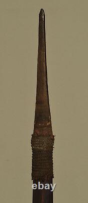 Papua New Guinea Spear Black Palm Tip