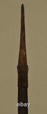 Papua New Guinea Spear Black Palm Tip