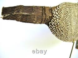 Papua New Guinea Vintage Large Watu Lumi Nassa Shell Currency & Bride Price 32