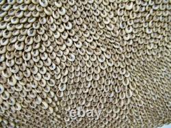 Papua New Guinea Vintage Large Watu Lumi Nassa Shell Currency & Bride Price 32