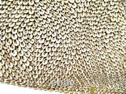 Papua New Guinea Vintage Large Watu Lumi Nassa Shell Currency & Bride Price 32