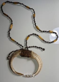 Papua New Guinea, Wild Boar Tusk, Necklace, Native Tribal Art Work