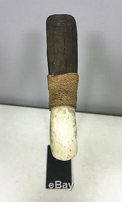 Papua New Guinea Wuvulu Province Adze Axe Clam Shell Blade