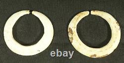 Papuan Gulf Conus Shell status Ear Rings Papua New Guinea