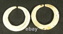 Papuan Gulf Conus Shell status Ear Rings Papua New Guinea