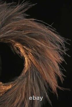 Parure de danse, traditional headdress, papua new guinea, oceanic art