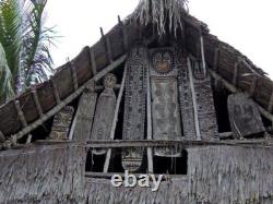 Planche votive, cult board, papua new guinea, tribal art, oceanic art, 167 cm