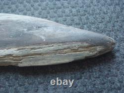 RARE Exceptionally large (42cm) TRIBAL BRIDE PRICE STONE AXE Papua New Guinea