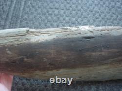 RARE Exceptionally large (42cm) TRIBAL BRIDE PRICE STONE AXE Papua New Guinea