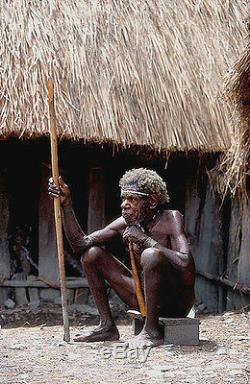 RARE MALE PENIS GOURD HAND PAINTED PHALLOCRYPT SEPIK PAPUA GUINEA Iatmul tribe