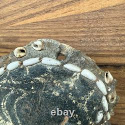 Rare Decorated Papua New Guinea Sepik River Turtle Shell Mask c1930s