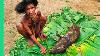 Rare Tribal Food Of West Papua S Dani People Never Seen On Camera Before