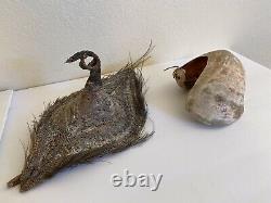 SBK Old bride price Talipoon Boiken Papua New Guinea huge shell