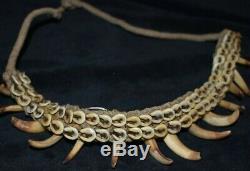 Sale! Papua New Guinea Shell, Croc Tooth Necklace 1900s 16 Prov