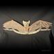 Sepik River Ancestral Bat Figure Carving New Guinea Ron Perry Provenance
