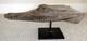 Sepik River Papua New Guinea Carved Canoe Prow, 12 inch on metal stand