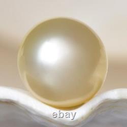 South Sea Pearl Champagne Round 11.33 mm New Papua New Guinea 2.03 g undrilled