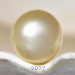 South Sea Pearl Champagne Round 11.33 mm New Papua New Guinea 2.03 g undrilled