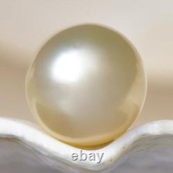 South Sea Pearl Champagne Round 11.33 mm New Papua New Guinea 2.03 g undrilled