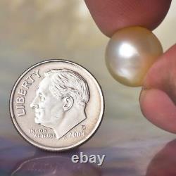 South Sea Pearl Champagne Round 11.33 mm New Papua New Guinea 2.03 g undrilled