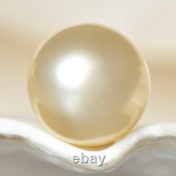 South Sea Pearl Champagne Round 11.71 mm New Papua New Guinea 2.23 g undrilled