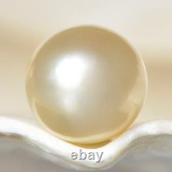 South Sea Pearl Champagne Round 11.71 mm New Papua New Guinea 2.23 g undrilled