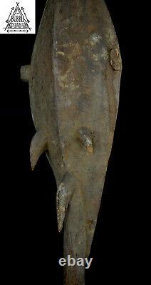 Stunning Fine Old Yena Stick Nukuma Mask, Sepik, PNG, Papua New Guinea