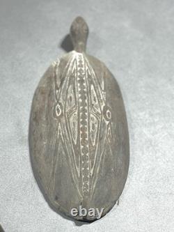 Superb Sentani Plate Chief's Family West Papua (New Guinea)