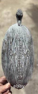 Superb Sentani Plate Chief's Family West Papua (New Guinea)