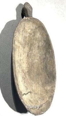 Superb Sentani Plate Chief's Family West Papua (New Guinea)