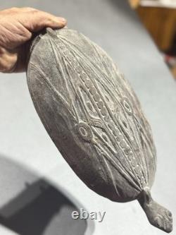 Superb Sentani Plate Chief's Family West Papua (New Guinea)