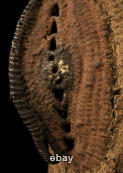 Tête tressée, braided figure, maprik area, papua new guinea, oceanic tribal art