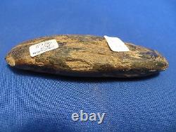 Unique Sepik People Cannibal Stone Ax Knife Scraper Very Old Papua (new Guinea)